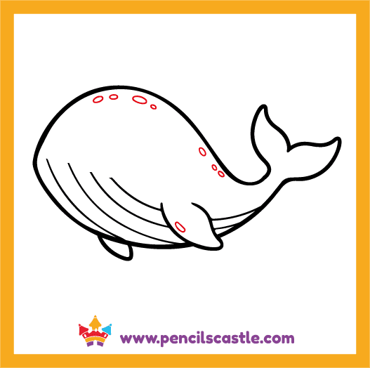 Add spots and details