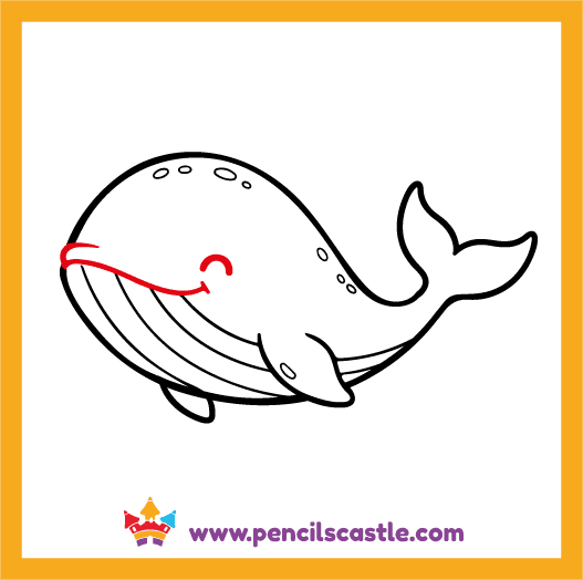 Draw the whale's face details