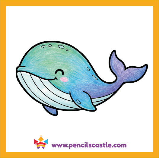 Color your cute whale drawing