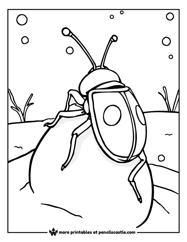 beetle crawling on a snowball amidst snowfall coloring page